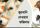 কুরবানি দেওয়ার ফজিলত