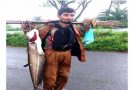 রাতের আঁধারে কোচা দিয়ে মাছ শিকার
